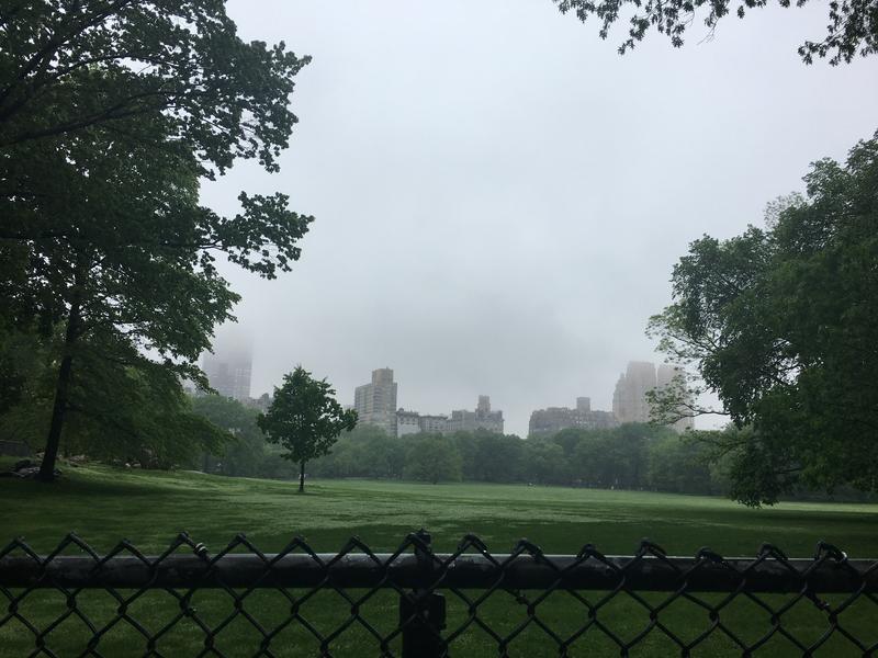 9FE5E5BC-8440-456F-9F3C-D1BEE4F8F1D6