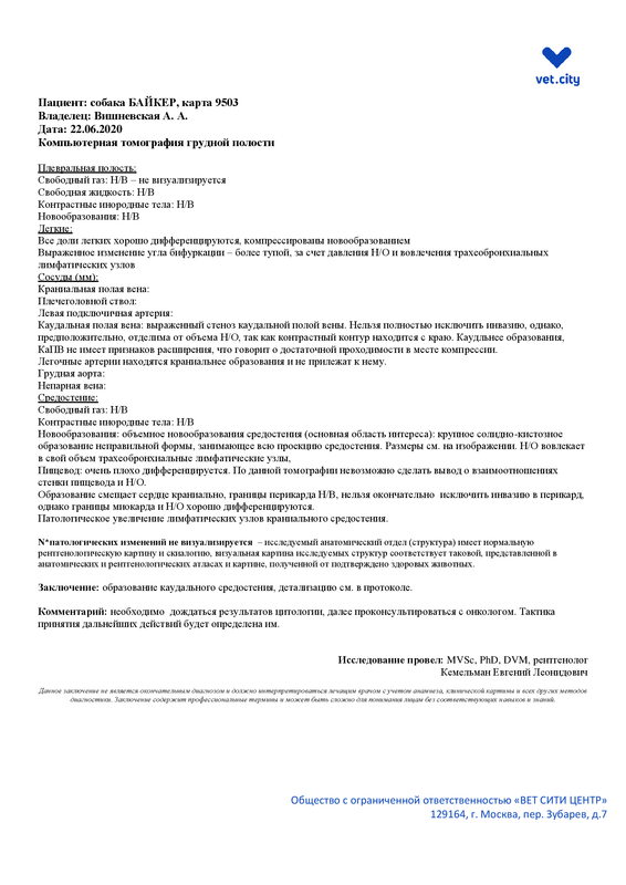 Вишневская АА соб БАЙКЕР 9503 — Postimages