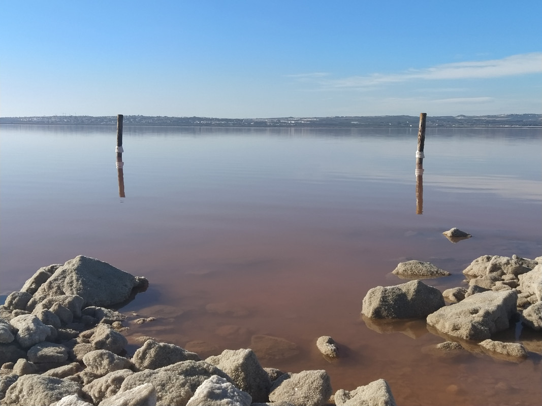 PN Lagunas La Mata y Torrevieja -Vega Baja, Alicante - Foro Comunidad Valenciana