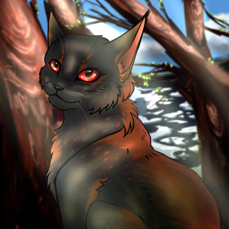 Без названия196_20240312033902