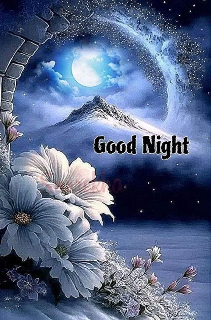 nighttttt