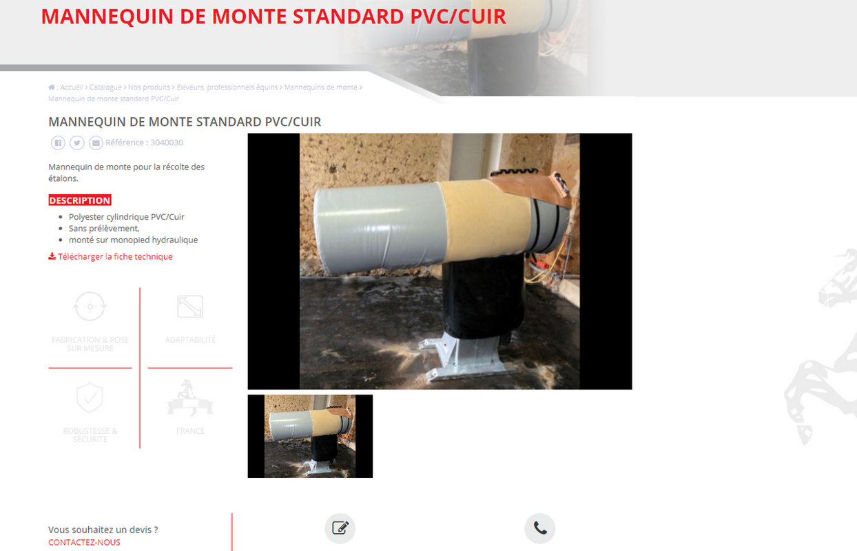 Mannequin PVC - cuir