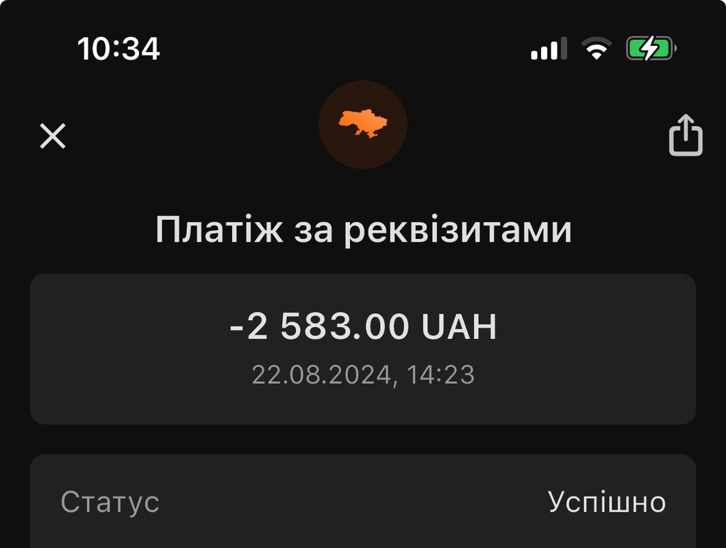 оплата сумочки