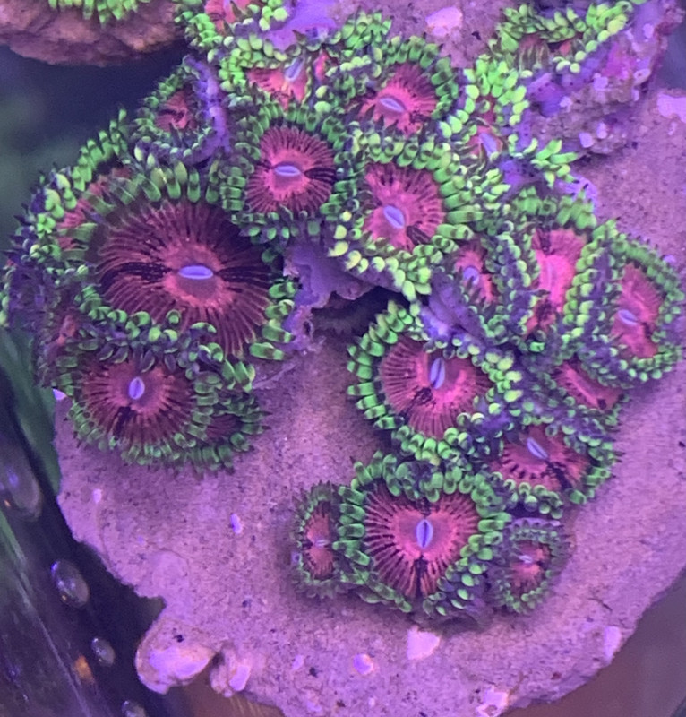 2E08602E-E1F6-485D-B2D3-58A9462BAF6F