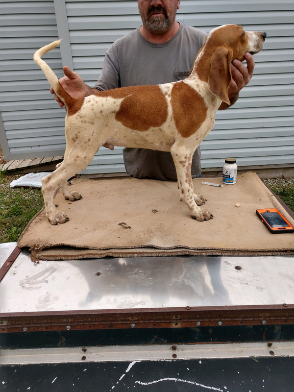 7B6593BA-0431-4919-9C27-099F4C64B141