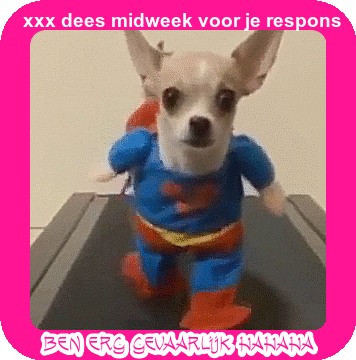 7MORa.gif
