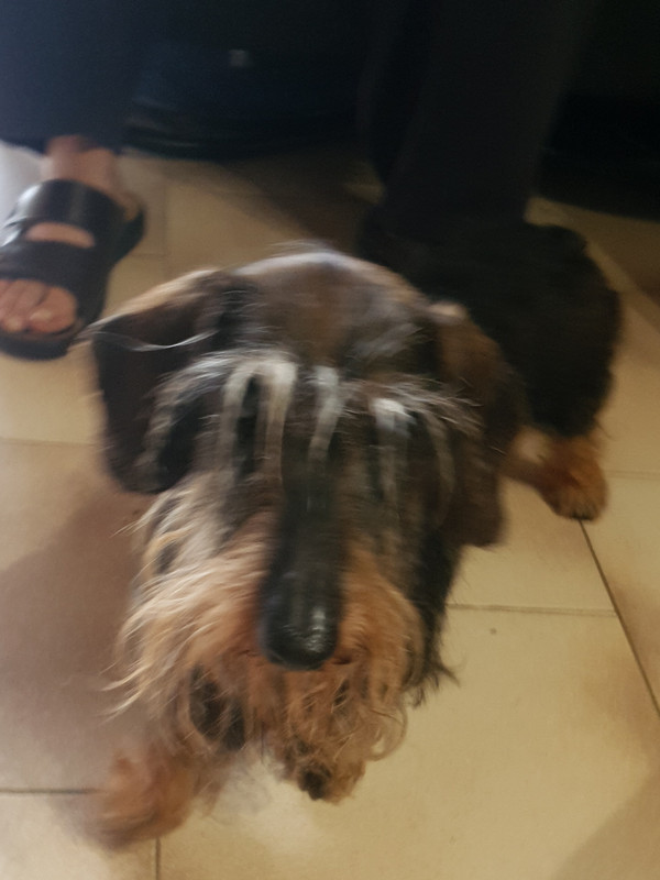 [Image: 20200926-074713.jpg]