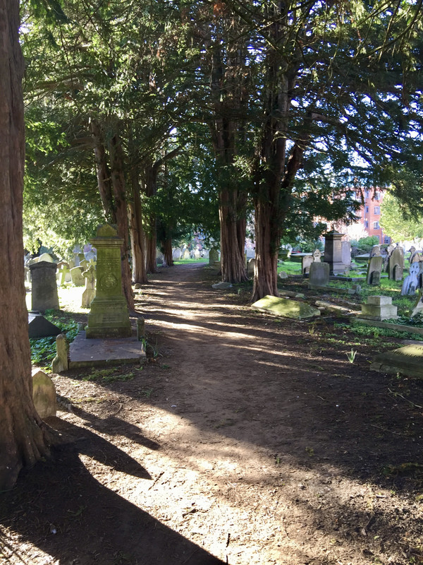 352165E6-EF2E-4950-93EF-419BB4A3B557