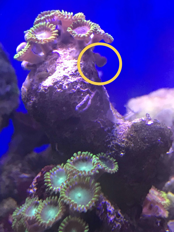 B203DA44-DF55-4B69-AEA6-B16B8B6C8170