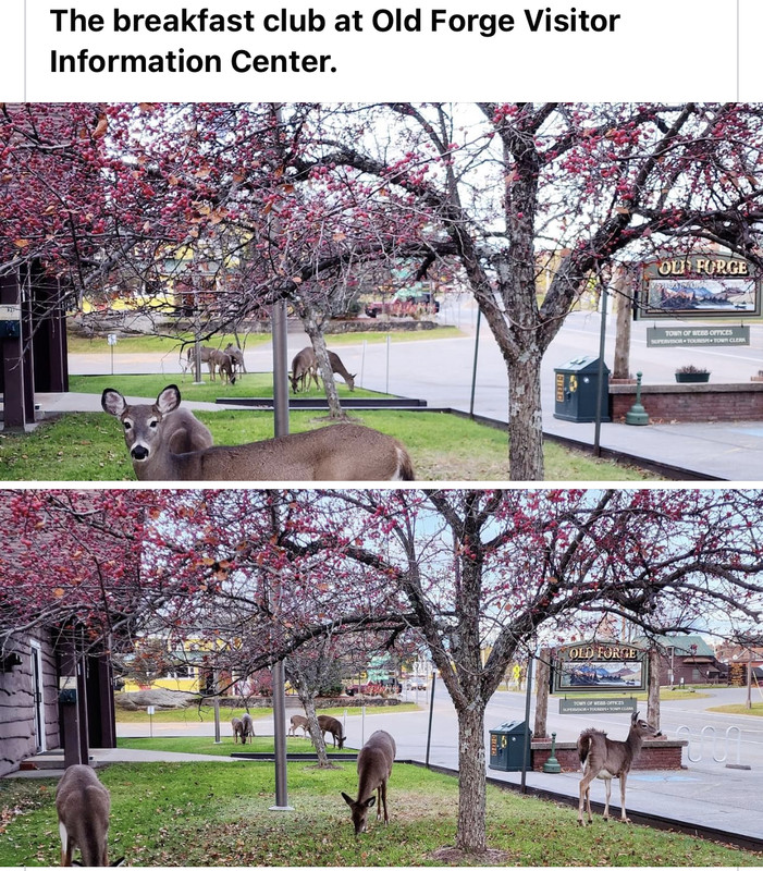 7528C314-C5E7-4282-8603-93DD60C78B44