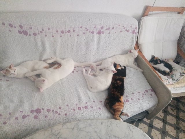 [Imagen: P00222-155907.jpg]