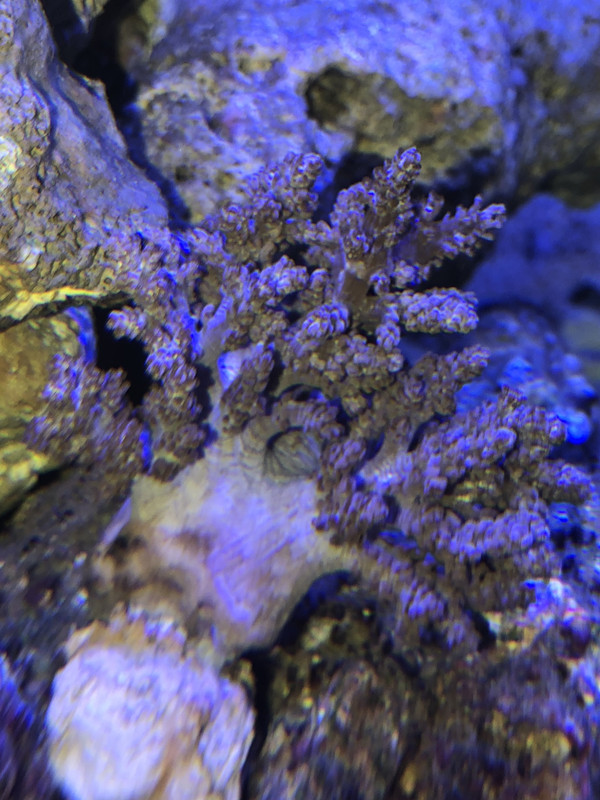 49295015-CA25-495A-BDFA-D5ED708AFE93