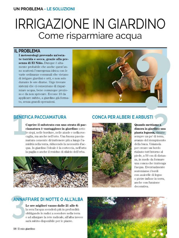 Il Mio Giar Ago-Set 2023 (11)