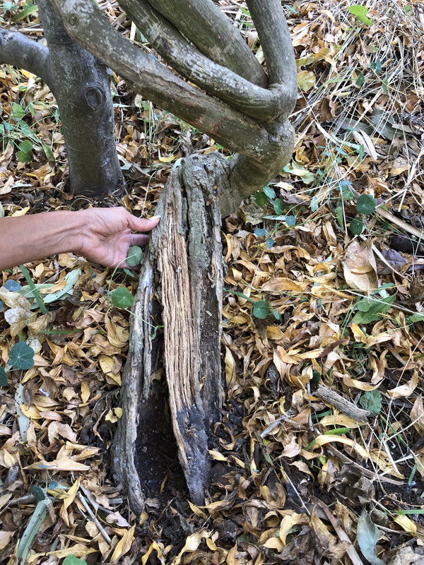 C193C24D-1806-45C4-B336-74288623A078