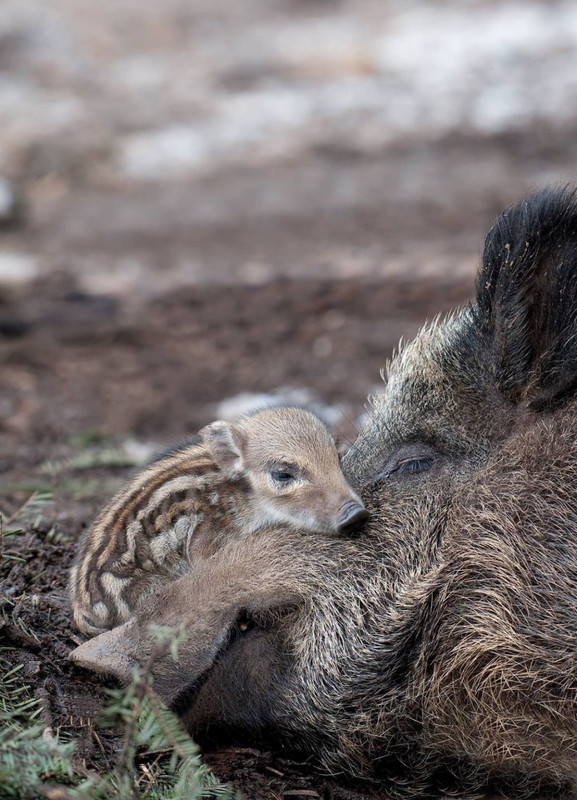 D8640A24 ABE6 41BB BD41 EF6A8A72B67A