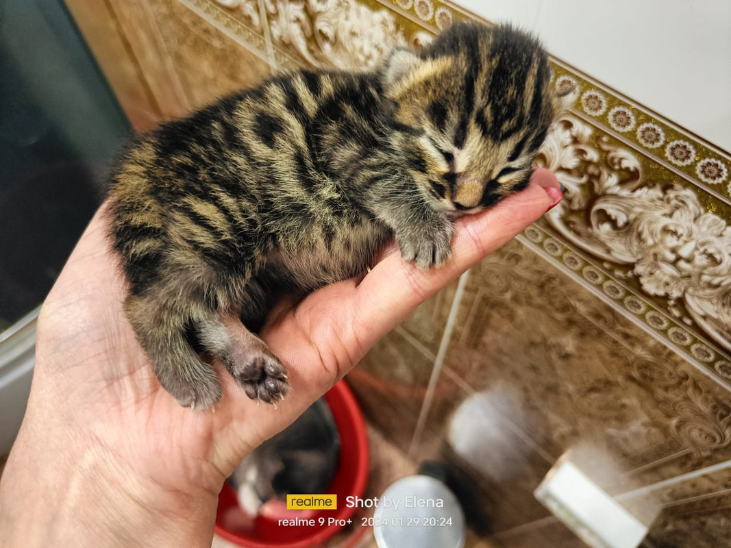 WhatsApp Image 2024-02-01 at 06.58.59 (1)