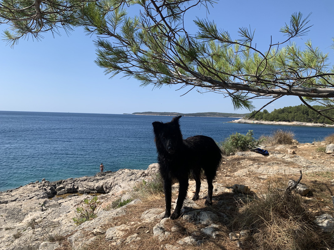 58A81BF4-FDEF-4EEB-AAED-AB873DB80198