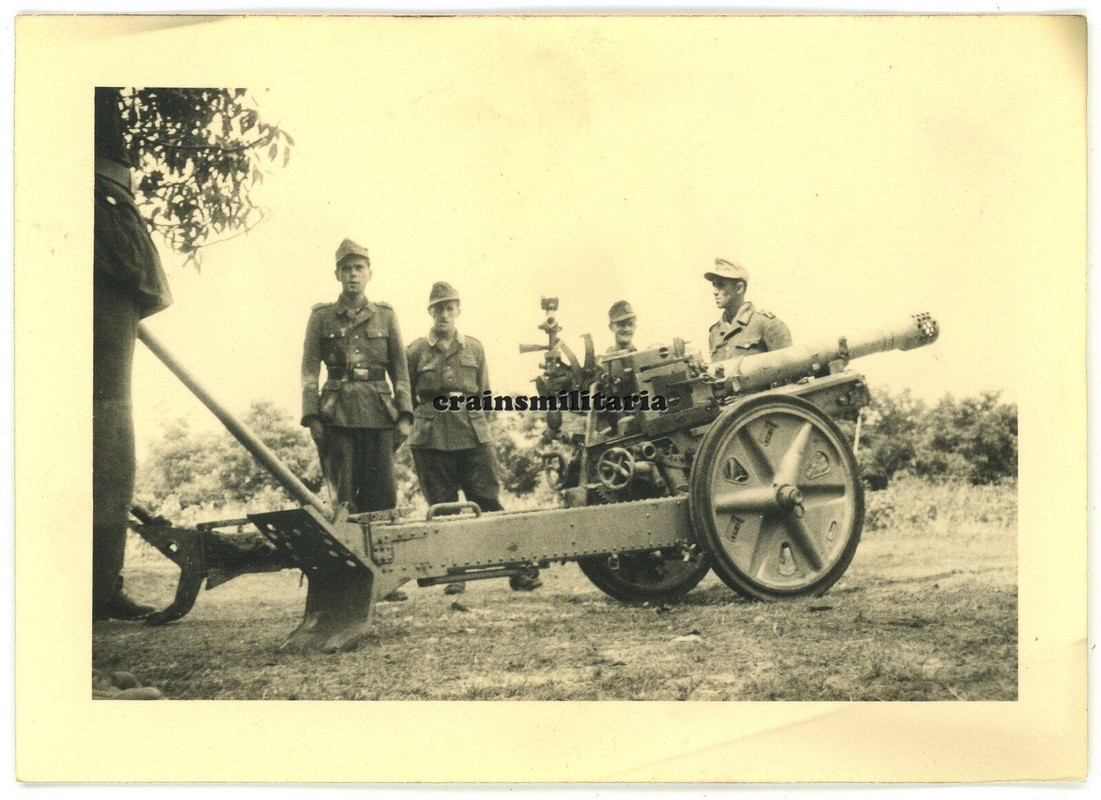 Orig. Foto Gebirgsjäger mit Gebirgshaubitze Geschütz in Karpathen Rumänien 1944 (5)