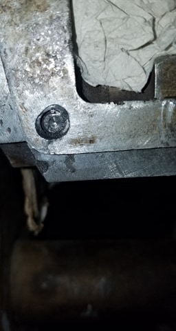 93183228_223911812181618_4530245235107692544_n