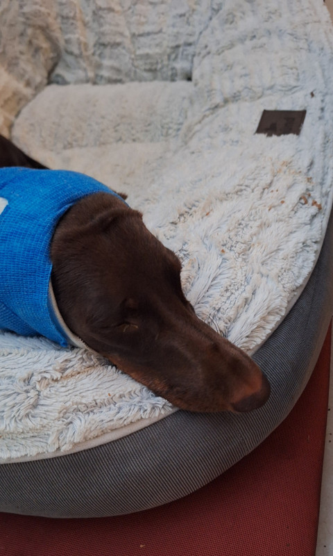 [Image: 20250812-203728.jpg]