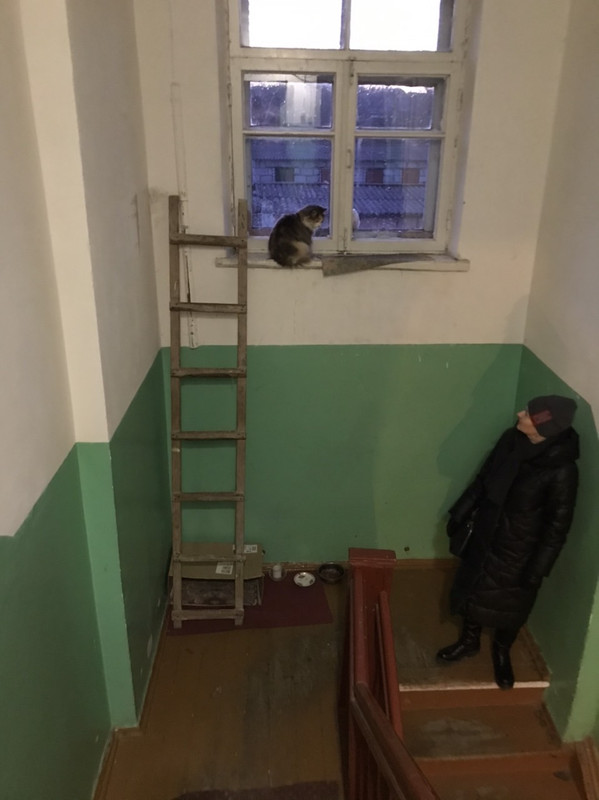 5271F585-8138-490E-8F5C-140D1F1140DB