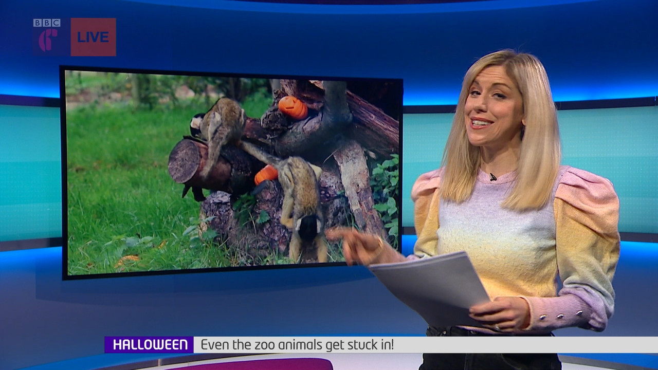 Newsround_20211023_07450755.ts_snapshot_10.09.834
