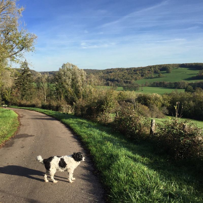 A4C6EC74-511A-47F7-90E5-EED9529C57FF