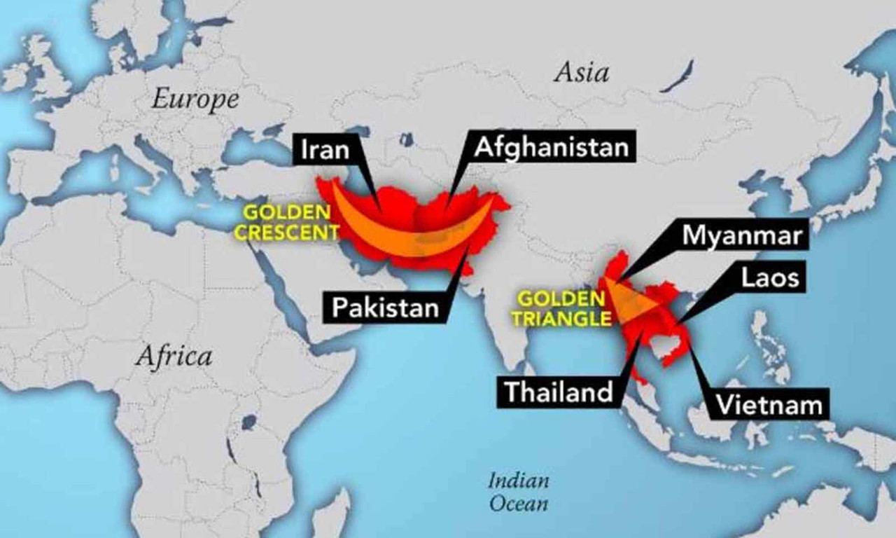 89553-C25-DCC6-4-CD5-9-B77-5042-F730-E40