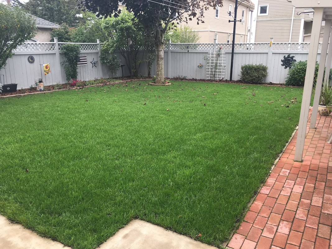 2017_Backyard_Reno_Day_61_1_small