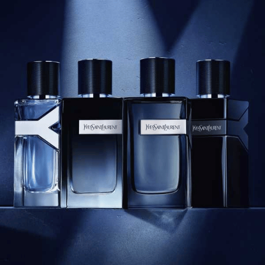 YSL-Y-1.png