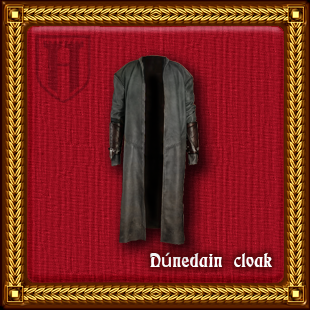 плащ карточка (1)