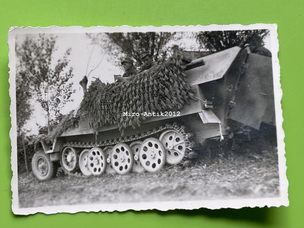 Foto, Wk2, Schützenpanzerwagen Sd.Kfz. 251, Seiten Profil, Italien 1943