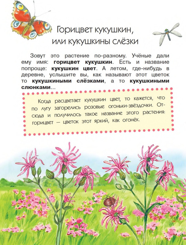Onegov-Anatolij-Pochemu-kukushka-slozki-lot-page-0031
