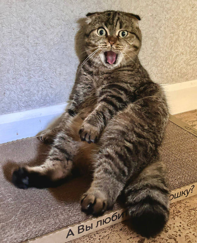 Изображение WhatsApp 2023-09-29 в 15.30.24_f0f20475