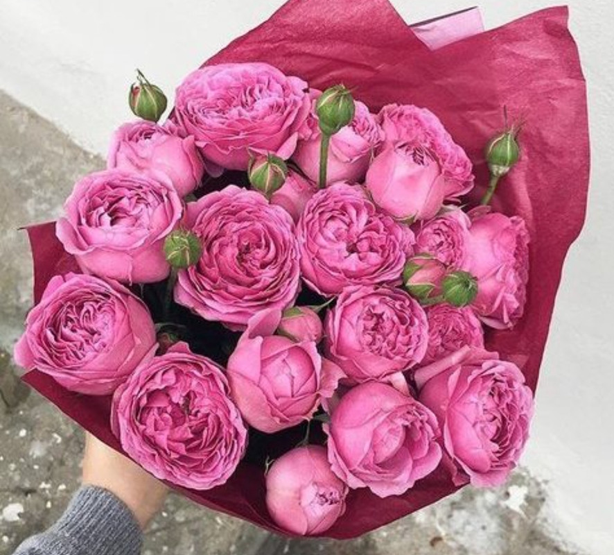 IMG_٢٠٢١٠٦٢٩_٠١٣٦١٥