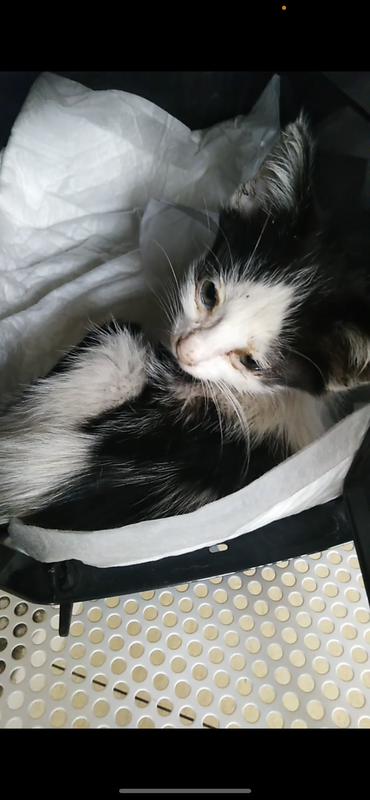 9EBAFCDE-621E-4C5A-A4B4-95015536A8E6