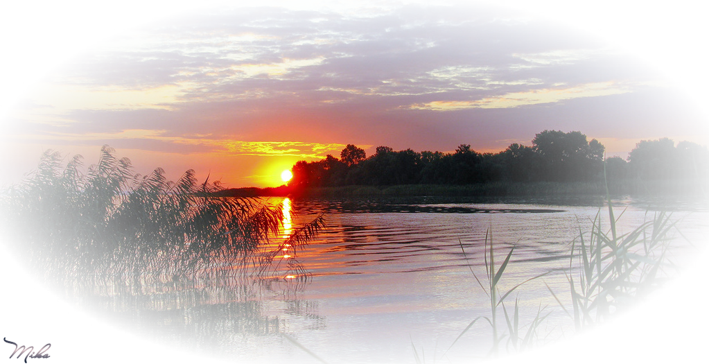 Siempre Libre & Glitters y Gifs Animados Nº349 - Página 6 Sunrise-mika131613