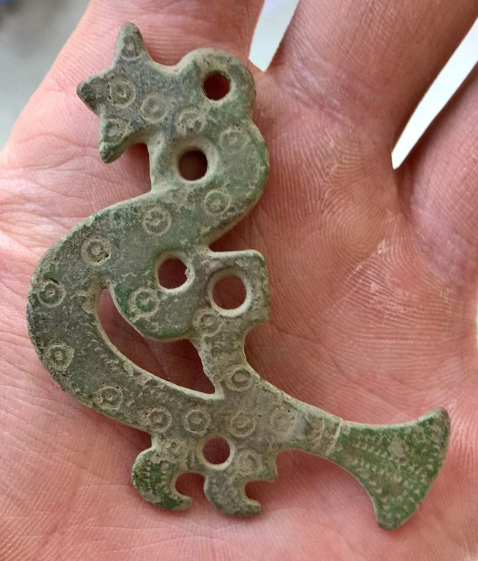 riipus1
