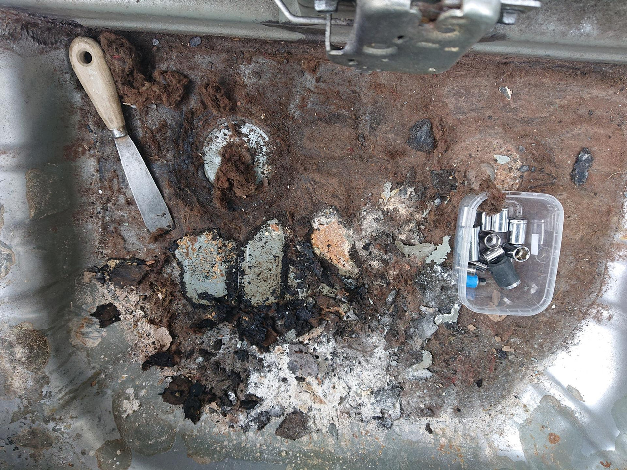 [Image: IMG_20260329_165233.jpg]