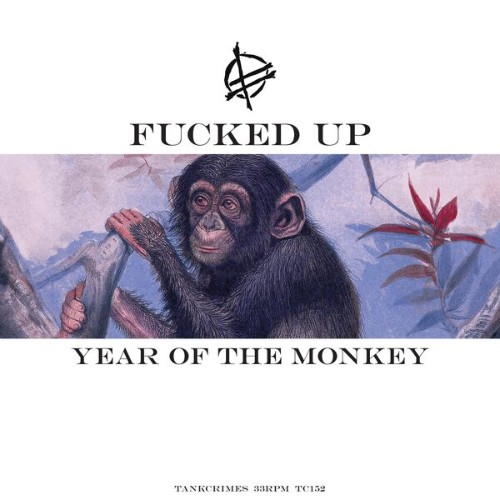 Fucked-Up-Year-of-the-Monkey-WEB-2026-RUMBLE.jpg