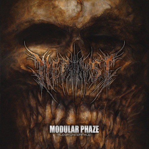 Modular Phaze - Flesh Interface (2026) MP3
