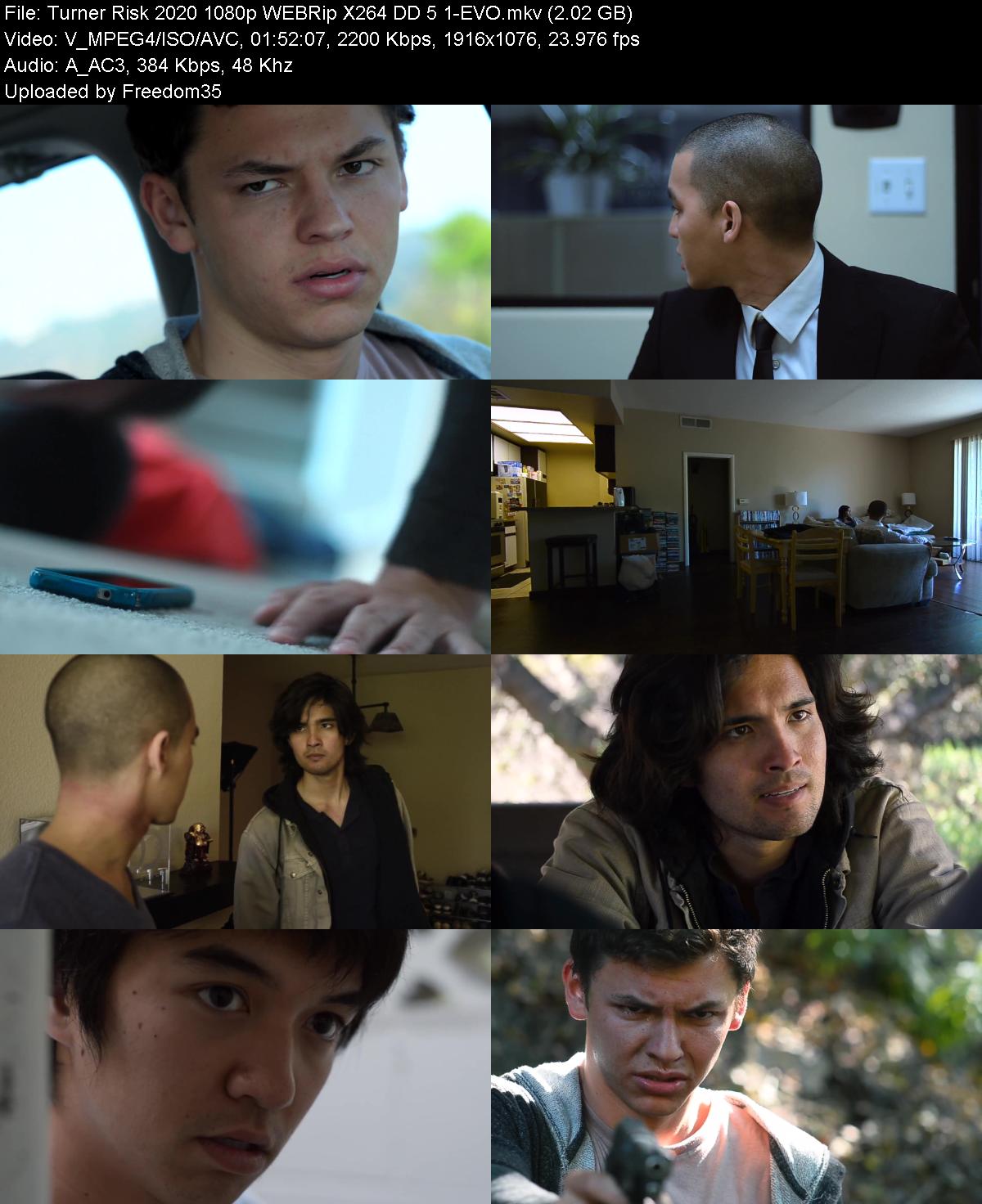 Turner-Risk-2020-1080p-WEBRip-X264-DD-5-