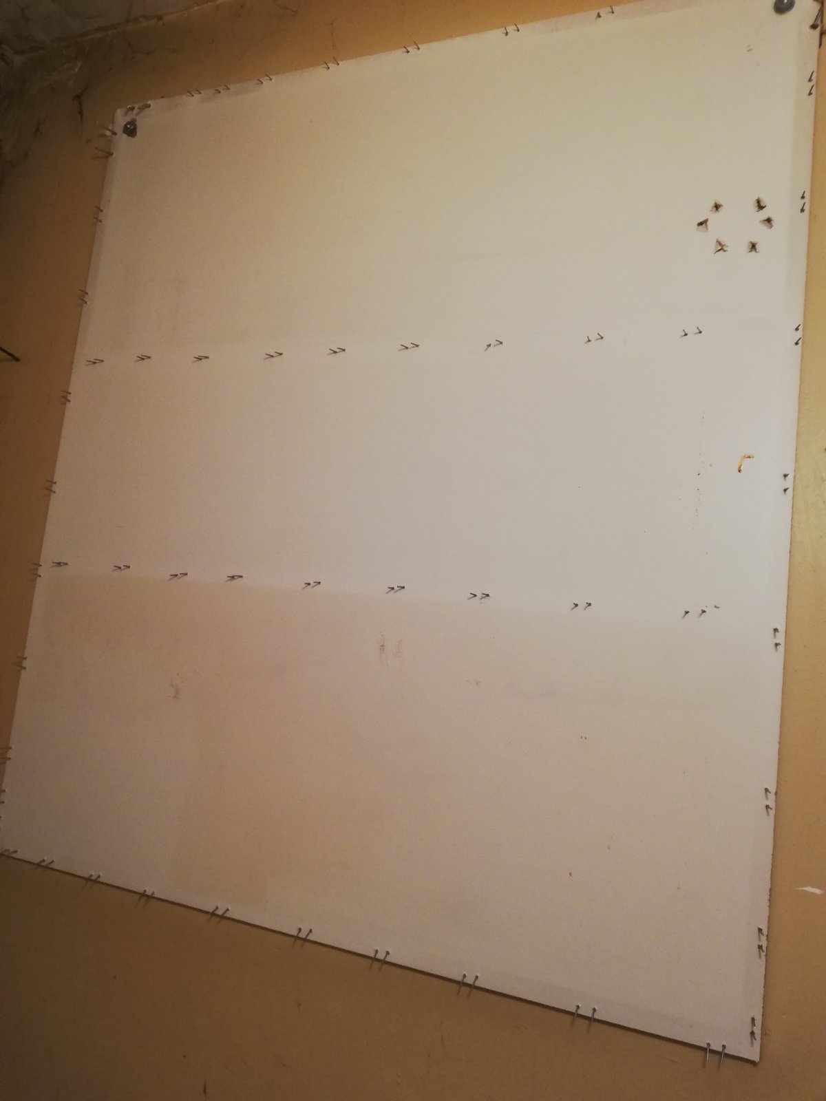 0-02-05-db81e513acff5892a1aba5cc0eccaf0f