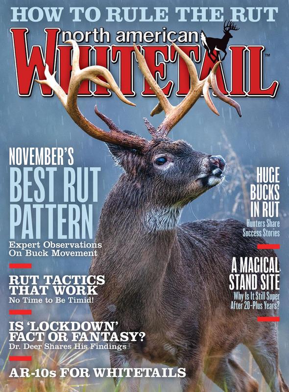 North-American-Whitetail-November-2019.jpg