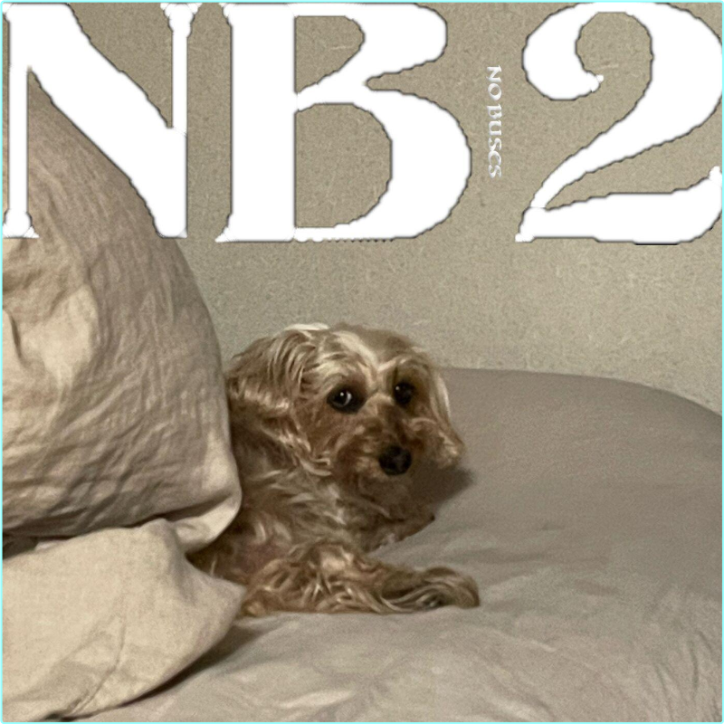 [Image: l1ld75tmai5y.png]