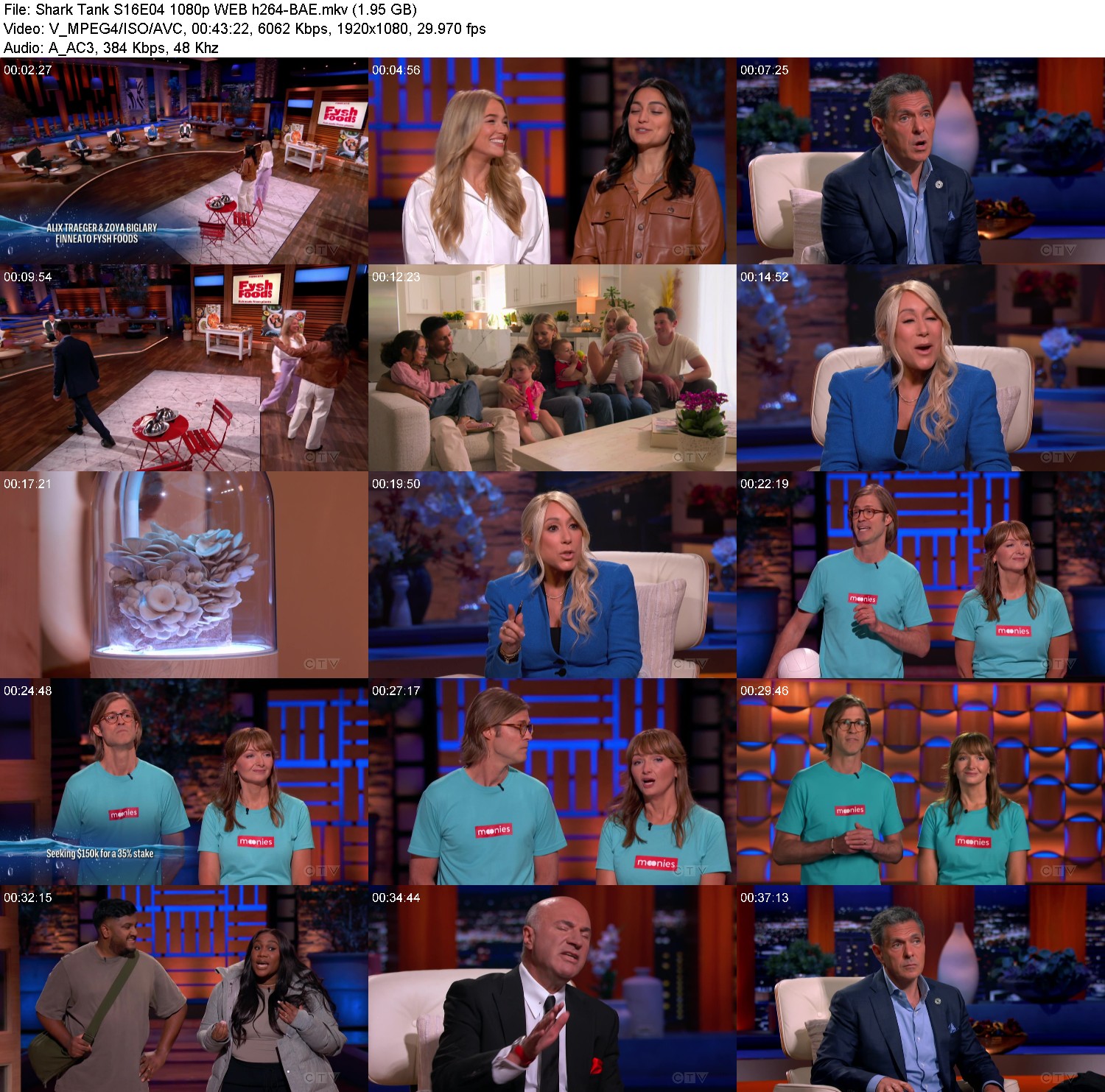 [Image: jgnfk2ft03t4.jpg]