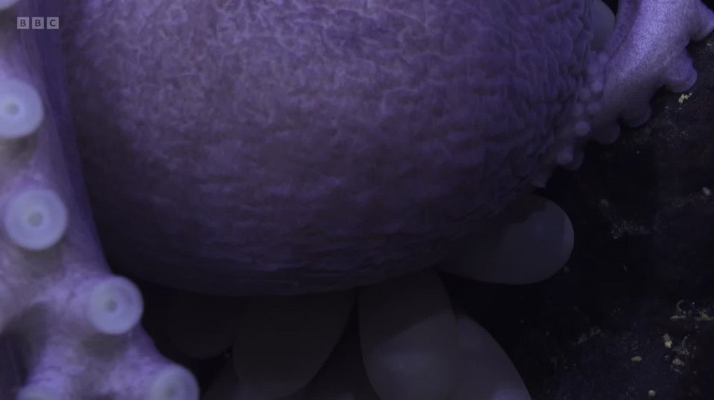 [Image: f8k65bzvcq4w.jpg]