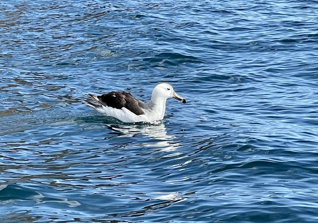 [Linked Image from i.postimg.cc]