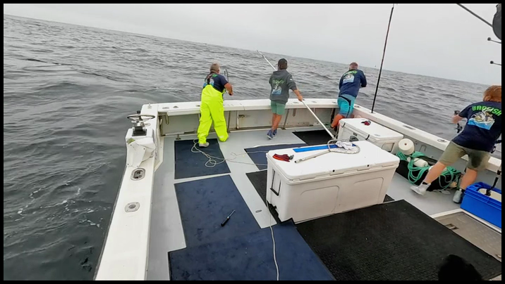 [Image: psu041ps9alr.png]