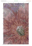 2890426-crosti-ru-color-22
